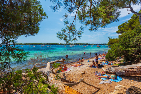 Fährentransfer zur Insel Sainte-Marguerite ab NizzaFährüberfahrt zur Insel Sainte Marguerite von Nizza