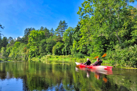 De Riga: Tour de la vallée de l'Abava