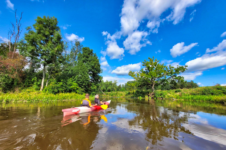 De Riga: Tour de la vallée de l'Abava