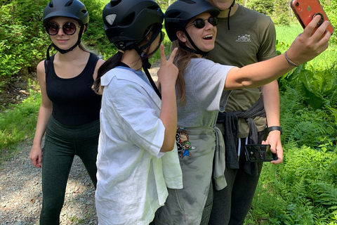 Juneau: giro nel deserto alpino