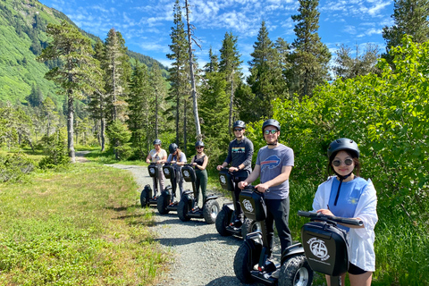 Juneau: giro nel deserto alpino