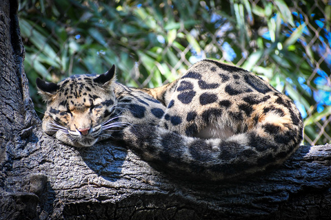 Zoo de Nashville: Ticket de entrada para cualquier díaZoo de Nashville: Entrada sin hacer cola