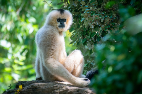 Zoo de Nashville: Ticket de entrada para cualquier díaZoo de Nashville: Entrada sin hacer cola