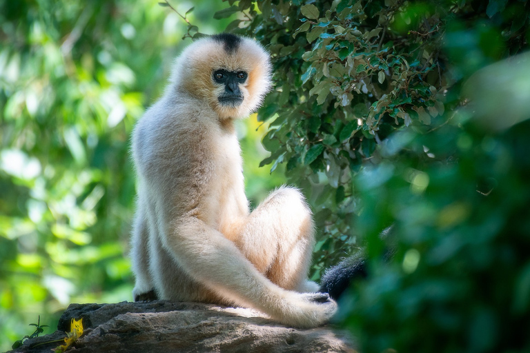 Zoo de Nashville: Ticket de entrada para cualquier díaZoo de Nashville: Entrada sin hacer cola