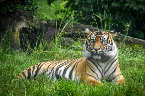 Nashville Zoo: Any-Day Admission Ticket Nashville Zoo: Skip-the-Line Admission Ticket