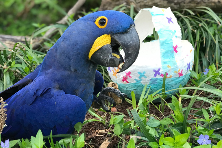 Zoo de Nashville: Ticket de entrada para cualquier díaZoo de Nashville: Entrada sin hacer cola