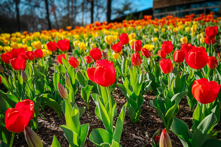 Zoo de Nashville: Ticket de entrada para cualquier díaZoo de Nashville: Entrada sin hacer cola