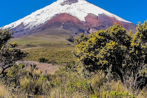 Quito: 2-Day Cotopaxi Climbing Tour