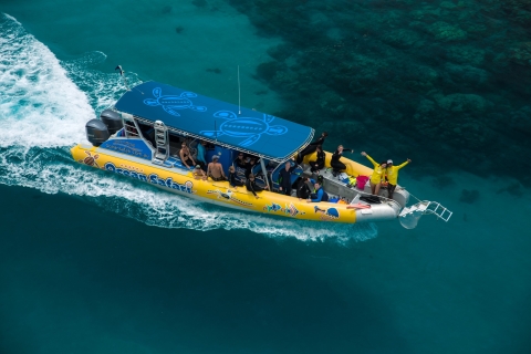 Cape Tribulation Ocean Safari TourCape Tribulation Ocean Safari Tour - Prise en charge à l'hôtel