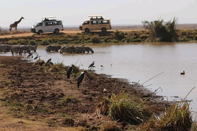 Nairobi National Park Luxury Picnic Game Drive