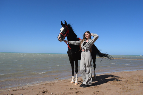 Hurghada: Swimming & Horse riding with FREE Photos & Videos 2-Hour Horse Swimming & Photos with Transfer