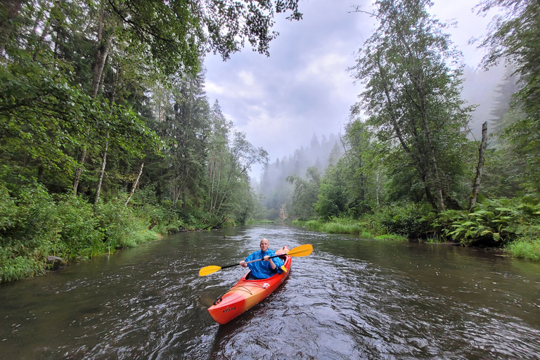 From Riga: Full-Day Scenic Gauja River Valley Kayaking Trip From Riga: Full-Day River Kayaking Tour to Sigulda