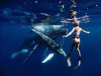 Sail the Canaries: Nature, Culture, and Culinary Delights