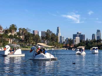 Echo Park Lake: Swan Tretbootverleih Echo Park Lake: Swan Tretbootverleih