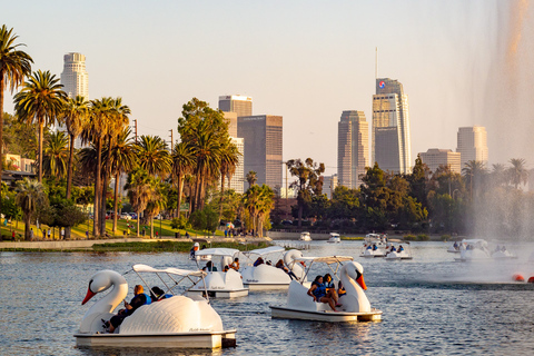 Echo Park Lake: Uthyrning av svantrampbåtar