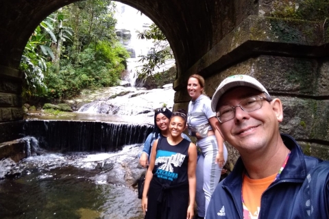Rio: Tijuca National Park Private Guided Hike with Transfer Private Tour with Transfer from Pier Mauá Cruise Port