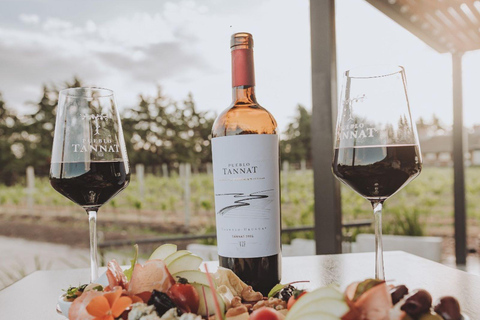 From Colonia: Pueblo Tannat Winery Experience Wine & Cheese Tasting