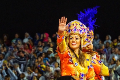 São Paulo: Carnaval Samba Parade-ervaring