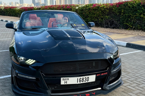 迪拜：卡布里奥野马之旅。奢华野马之旅