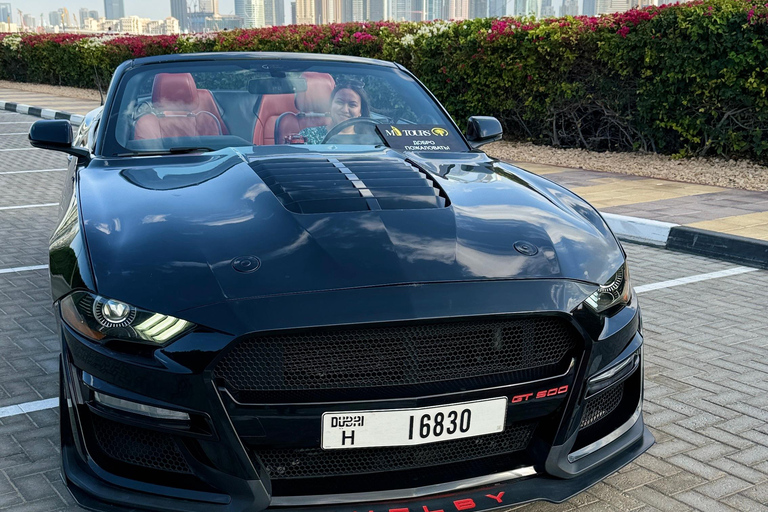 迪拜：卡布里奥野马之旅。奢华野马之旅