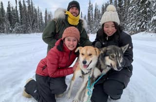 Fairbanks: Hundeschlittenfahrt und Mushing-Erlebnis
