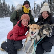 Fairbanks : expérience de traîneau à chiens et de mushing