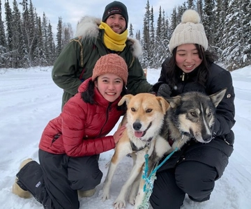 Fairbanks: Dog Sledding and Mushing Experience