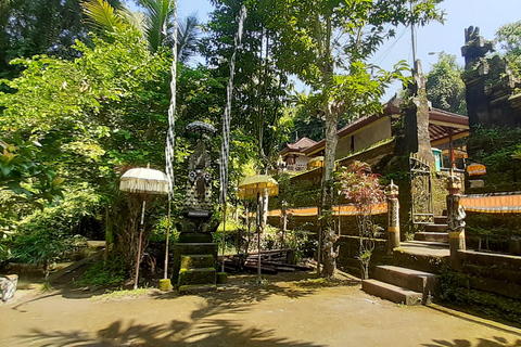 Bali: Barong Tanz und Weihwassertempel Tour mit Transfer