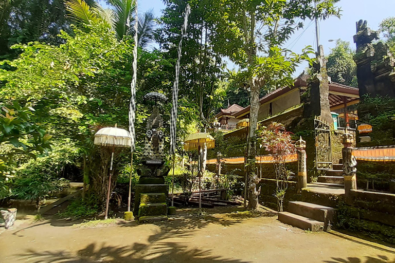 Bali: Barong Tanz und Weihwassertempel Tour mit Transfer