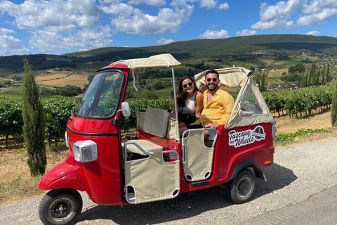 From Florence: Panoramic Vintage Tour in Chianti by Tuk Tuk