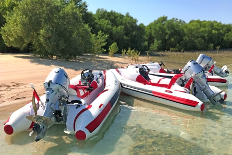 Mangrove National Park: self-drive speedboottochtZelfrijdende speedboottocht