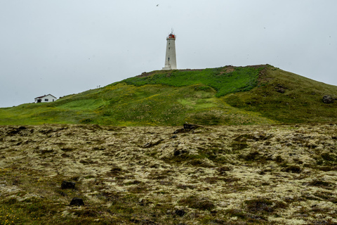 Reykjavík : Région des volcans-Grindavík, sources d'eau chaude et champs de lave