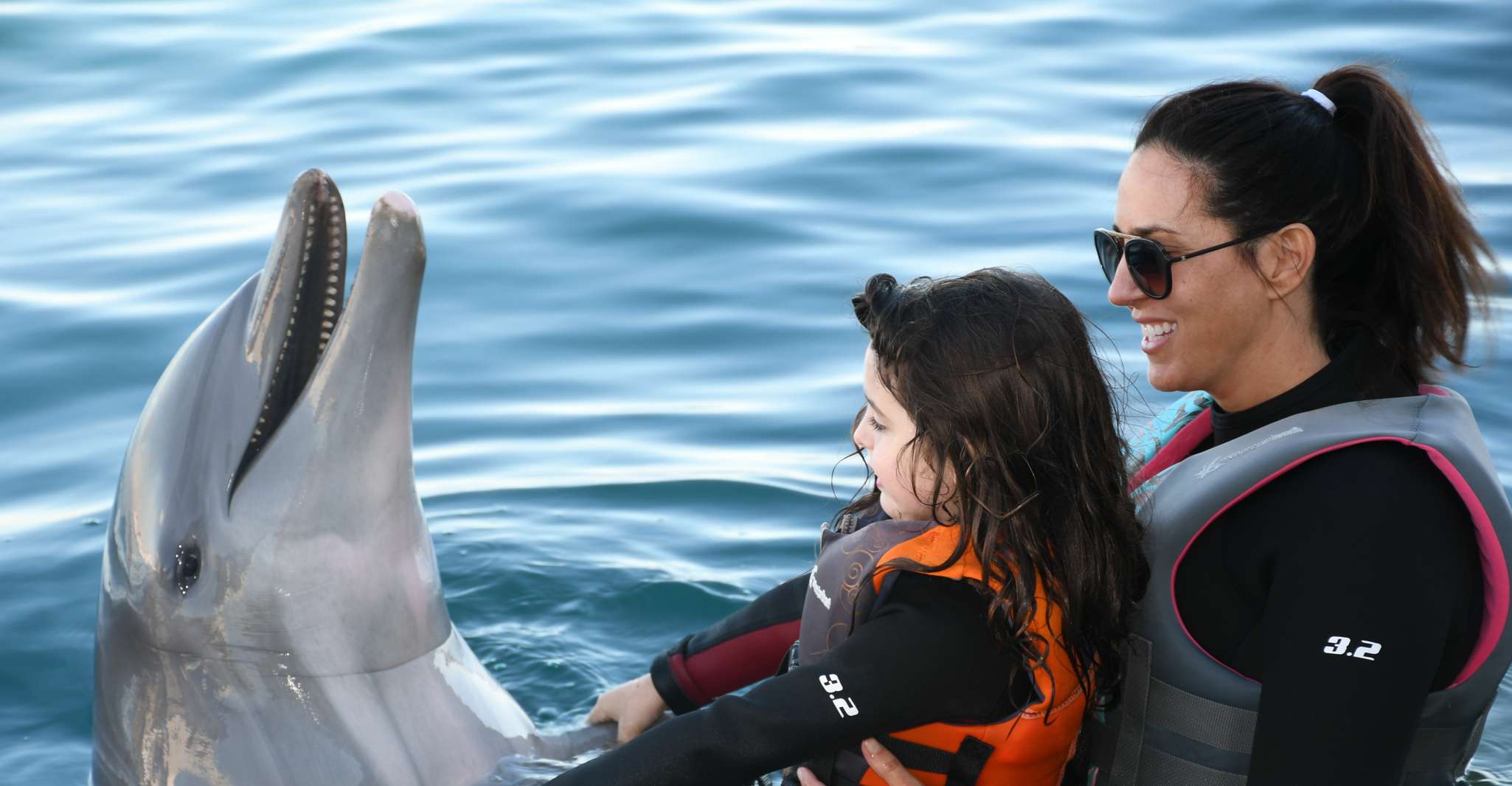 Saint Augustin, Rencontre des dauphins de Marineland - Hizvo