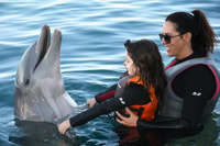 Santo Agostinho, Marineland Dolphin Encounter - Hizvo