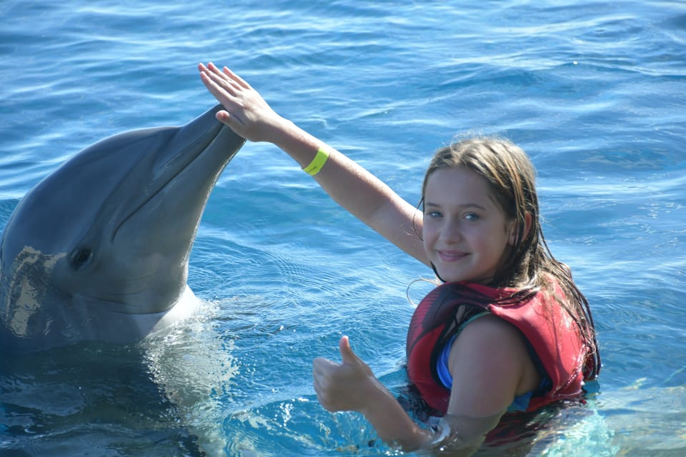 Saint Augustin, Rencontre des dauphins de Marineland - Hizvo