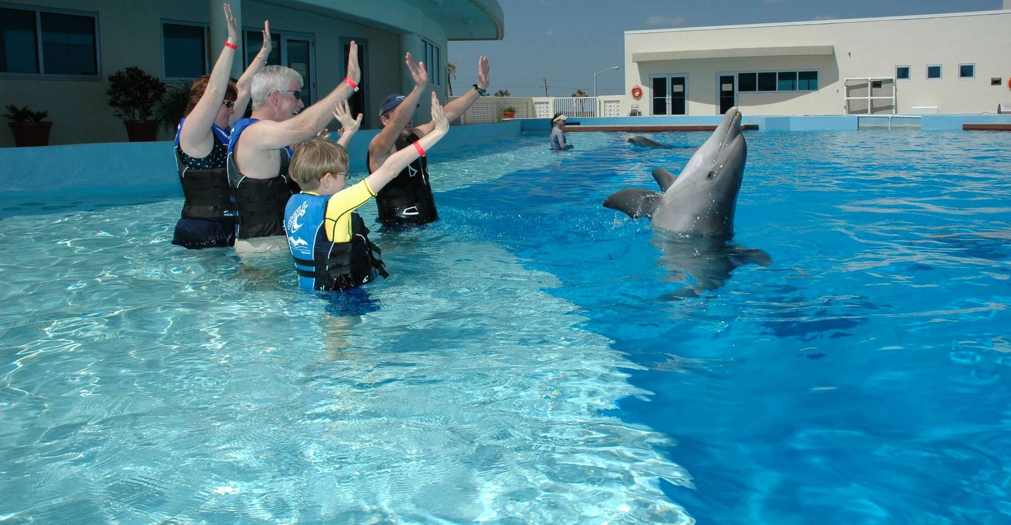 Saint Augustin, Rencontre des dauphins de Marineland - Hizvo