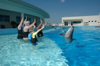 Santo Agostinho, Marineland Dolphin Encounter - Hizvo