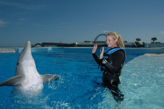Visit St. Augustine Marineland Dolphin Encounter in St. Augustine Beach, Florida