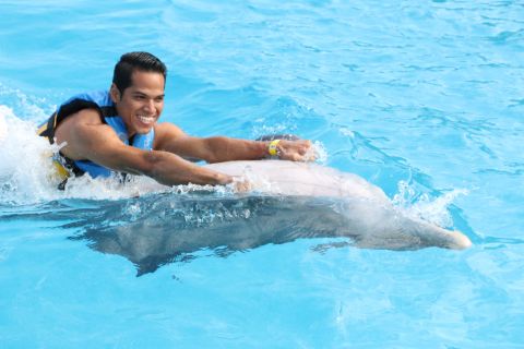 Sant'Agostino: Nuoto con i delfini