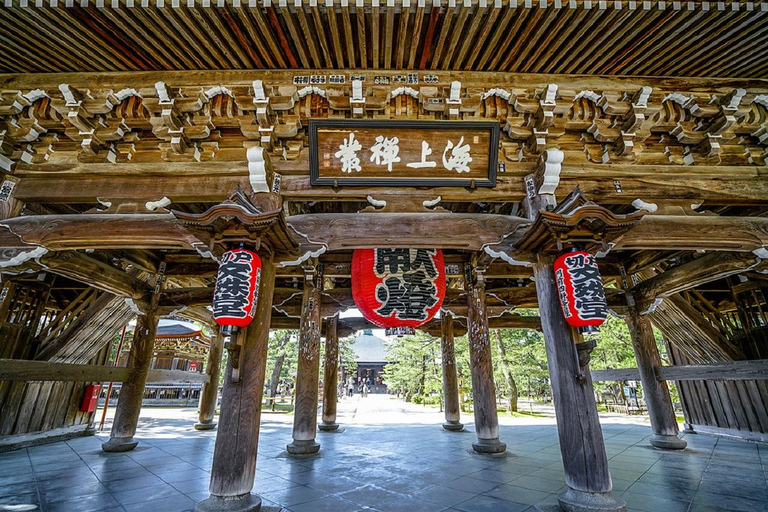 Kyoto/Osaka: Tour di un giorno intero di Amanohashidate e Ine BoathousePrelievo dalla stazione di Osaka alle 8:40