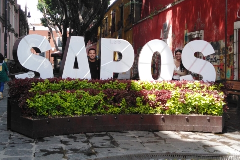 Mexiko-Stadt: Private Tour durch Puebla und Cholula