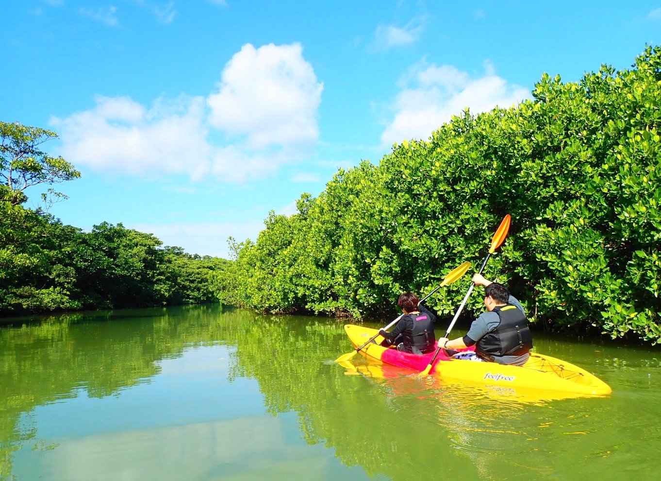 Ishigaki Island: 2-timers kajakroning i Miyara-floden