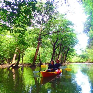 Isla Ishigaki: tour de 2 horas en kayak por el río Miyara