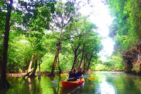 Ishigaki Island: 2-Hour Miyara River Kayaking Tour