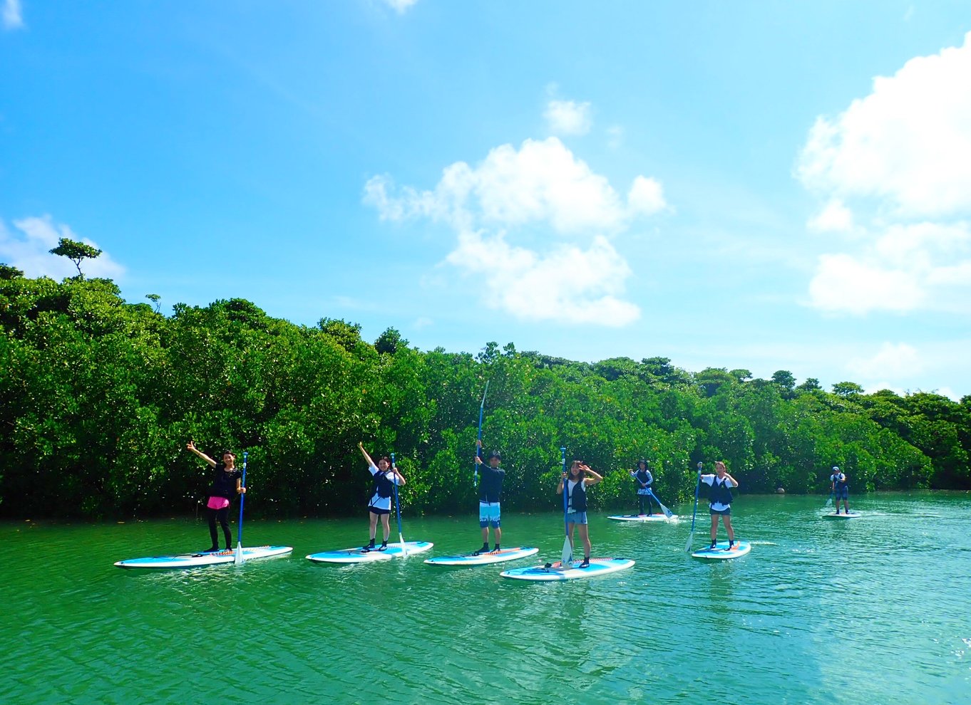 Ishigaki Island: 2-timers kajakroning i Miyara-floden