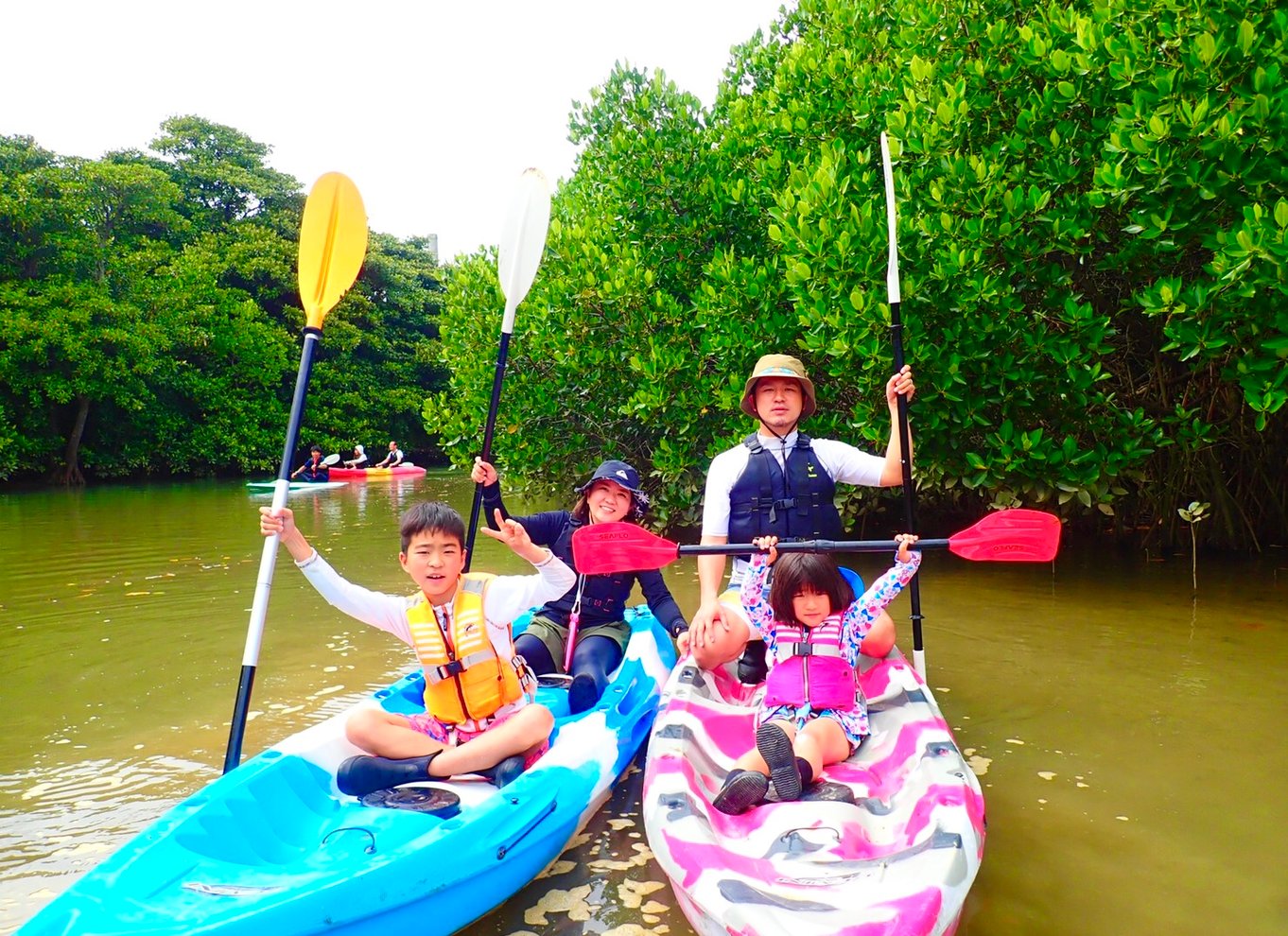 Ishigaki Island: 2-timers kajakroning i Miyara-floden