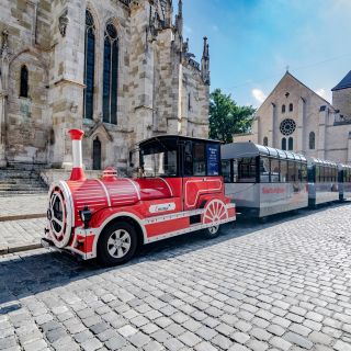 Regensburg: Sightseeing Train Tour