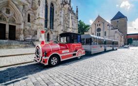 Regensburg: Sightseeing Train City Tour with Audio Guide