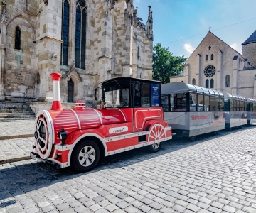 Regensburg: Sightseeing Train City Tour with Audio Guide