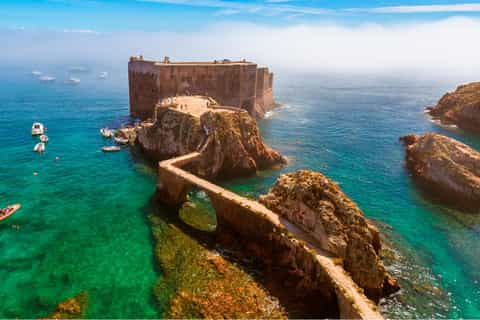 From Lisbon: Berlenga Grande Sightseeing Tour